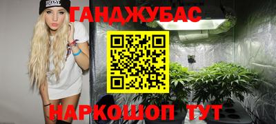 крисы Балаково