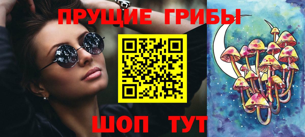 Псилоцибиновые грибы Psilocybe  Вход с VPN  Гулькевичи  Псилоцибиновые грибы прущие грибы 